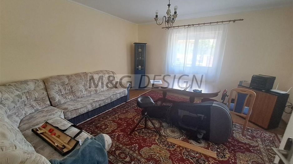 Casa individuala pe parter Sagului-Liviu Rebreanu - Poză 3