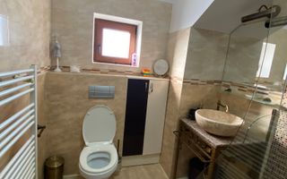 Cochet la intrare in Dumbravita - Poză 12