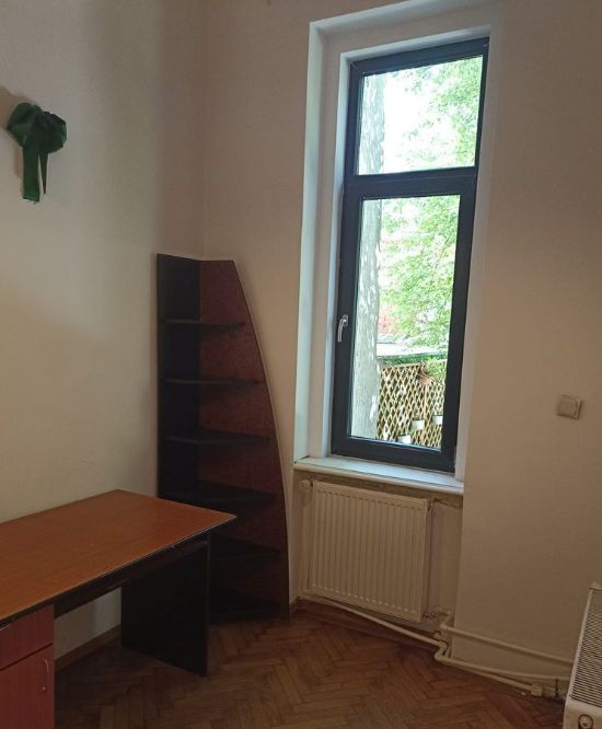 4 camere in vila | Cismigiu | terasa 10 mp + 2 boxe - Poză 8