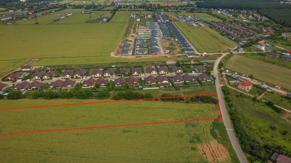 Teren intravilan, Balotești, Strada Cameliei 36, 10.000 mp - Poză 3