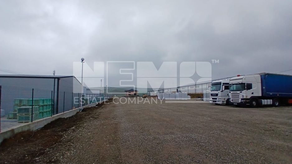 De Închiriat Teren I Scheia, Suceava I 6 EURO mp - Poză 3