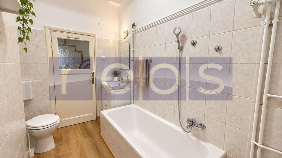 SPATIU DE INCHIRIAT | 100 MP | VILA INTERBELICA | DOROBANTI | CURTE PRIVATA - Poză 10