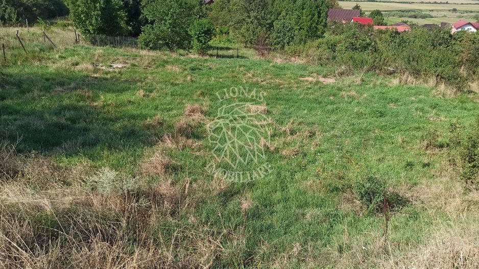 Teren intravilan 1400 mp cu utilitati la DN 17- Crainimat - Poză 2