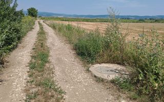 Teren intravilan 3,85 ha,Brasov DN 13 langa MILLE, OLYMPUS, ARKADA - Poză 7