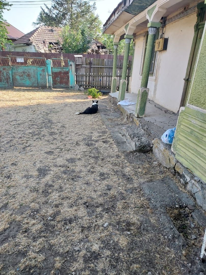 🏡 TEREN INTRAVILAN 3.800 MP – SURAIA, VRANCEA | PRET NEGOCIABIL - Poză 4