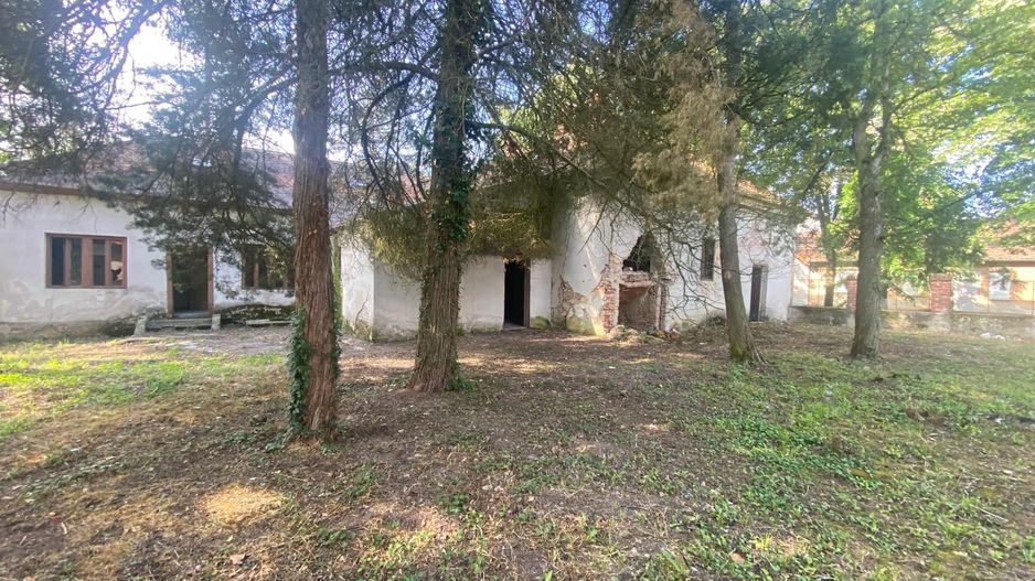 VILA DE VANZARE IN BALINT - Poză 5