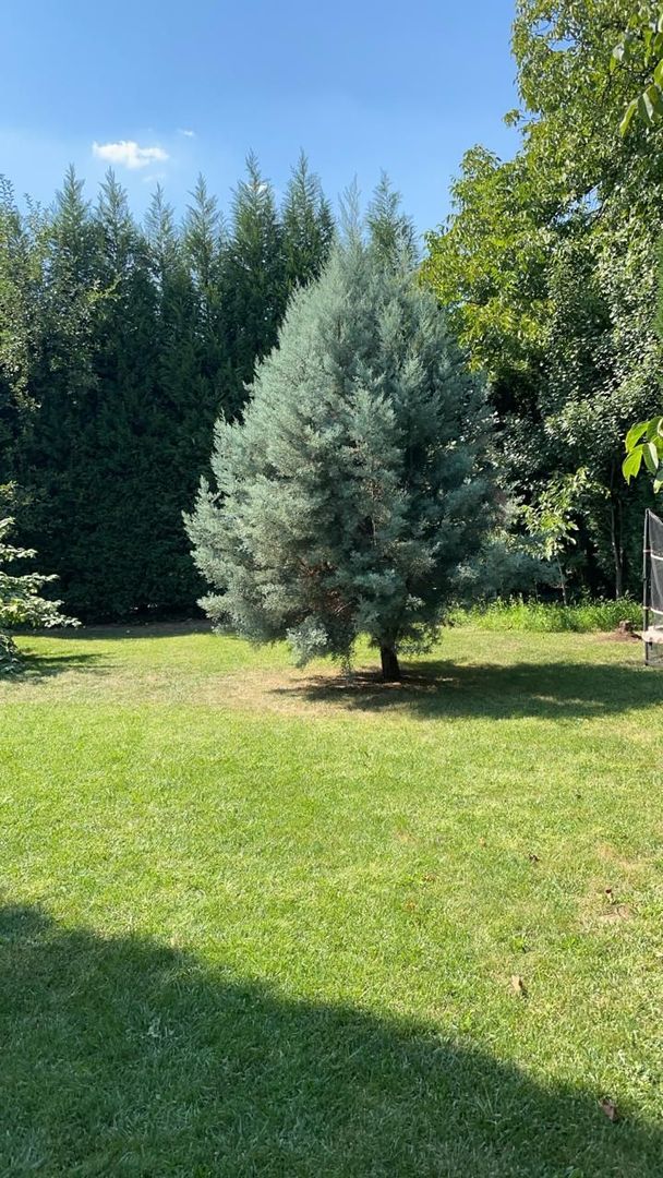 REȘEDINȚĂ EXCLUSIVISTĂ | 8 CAMERE | 4 BĂI | 2 LIVINGURI | TEREN 679 MP - Poză 13