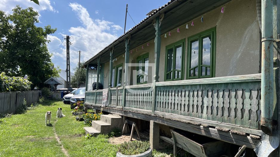 Ferma agricola, plantatii de mure, trandafiri, vita-de-vie - Poză 6