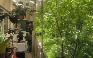 De vanzare 3 Camere | Etaj 1 | 2 Băi | Metrou Valea Ialomiței - Poză 5