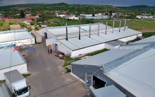 COMISION 0% - HALE Calinesti Arges - Poză 92