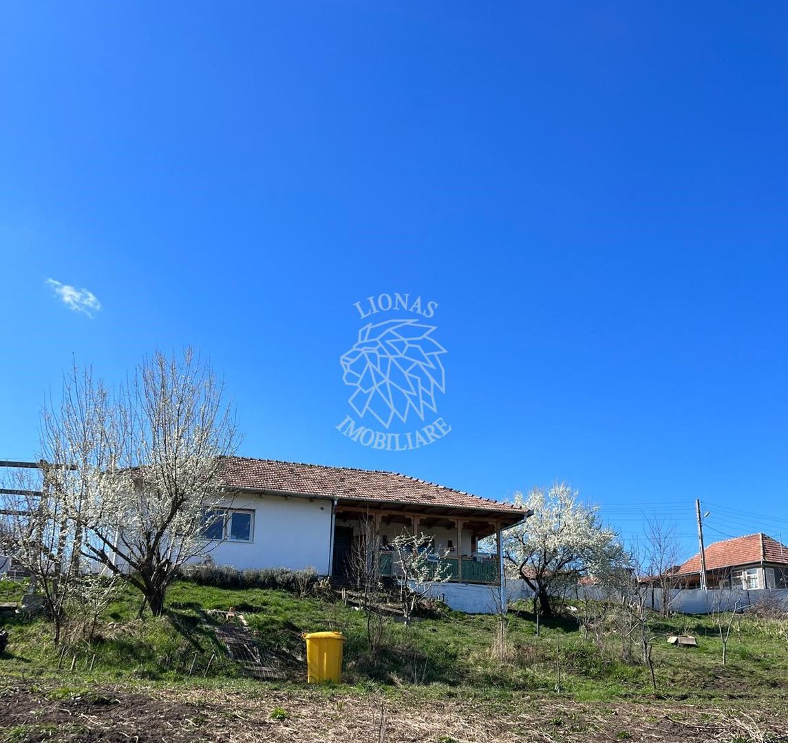Casă ecologică 113 mp utili cu utilitati  + Teren 3100 mp, Balda, județul Mures - Poză 1
