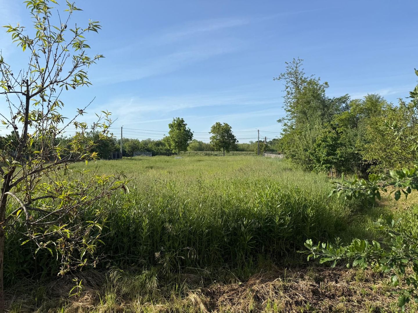 Teren de 3360 mp în exclusivitate, Sânmihaiu Român, vedere la Bega - Poză 3