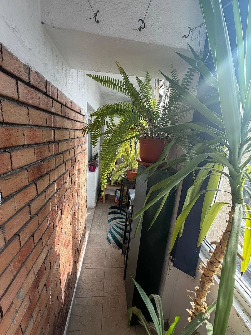 Apartament 3 camere Crângași BCR - Poză 7