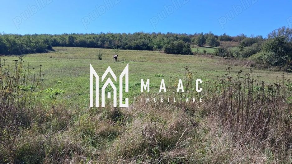 Teren | 3.600 mp | Ariușd | Lângă Olt | 25 km de Brașov - Poză 2