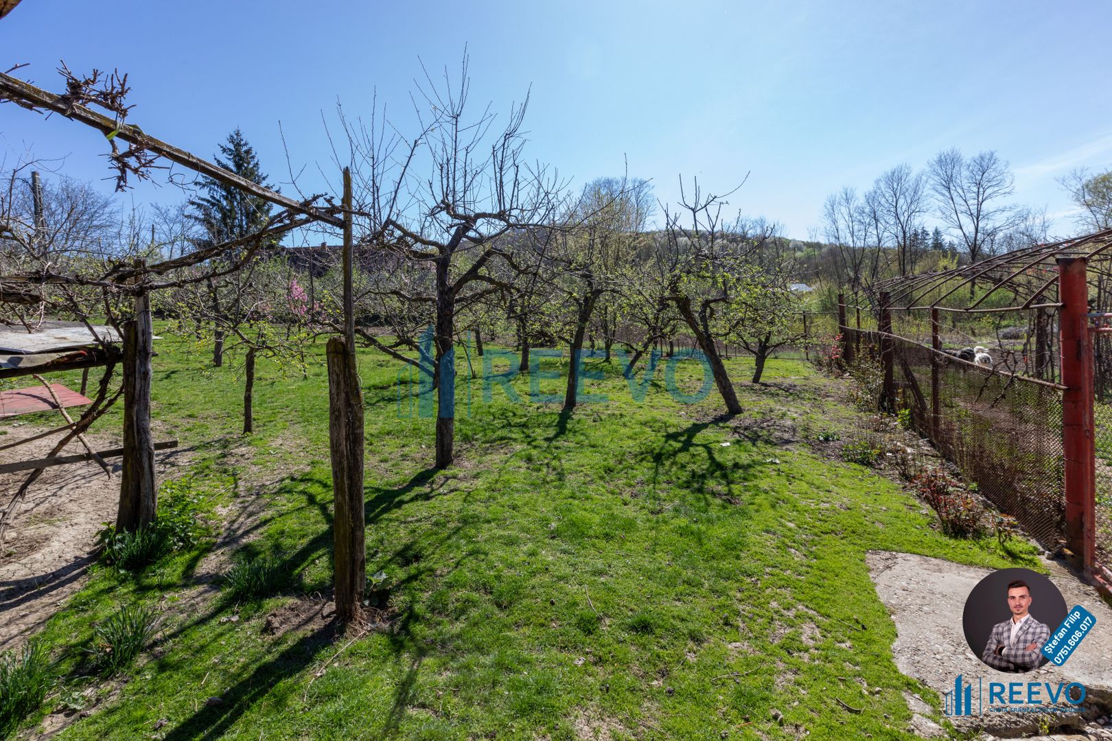 Casă și teren de vânzare, sat Buda, Blăgești, Bacău - Poză 25