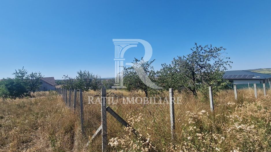 Teren Intravilan | Imprejmuit | 1000 mp | Paleu | Bihor - Poză 5