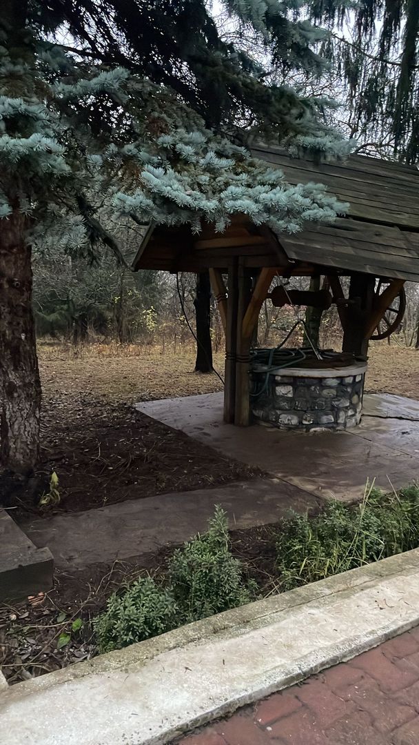 Pet Friendly, Vedere Padure, 5000mp teren, D+P+1E+M, semineu, foisor - Poză 48