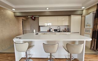 3 camere Inacu Nicoale Baneasa Piscina - Poză 2