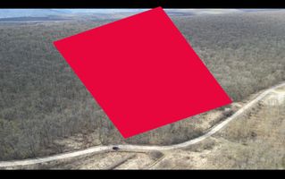 Pădure de vânzare - 2 Ha pentru Agroturism - Poză 2