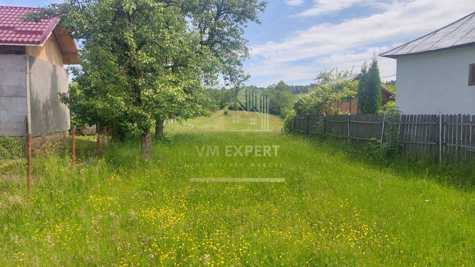 TEREN INTRAVILAN 2972 MP, BUGHEA DE SUS, PRET 23776 EURO - Poză 5