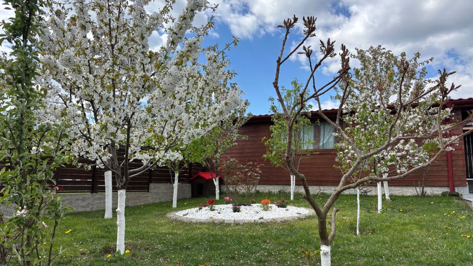 Casa 5 camere cu teren GENEROS si CARPORT - Cartierul Arhitectilor - Poză 22