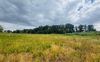 Parcele teren intravilan Paleu - Poză 1
