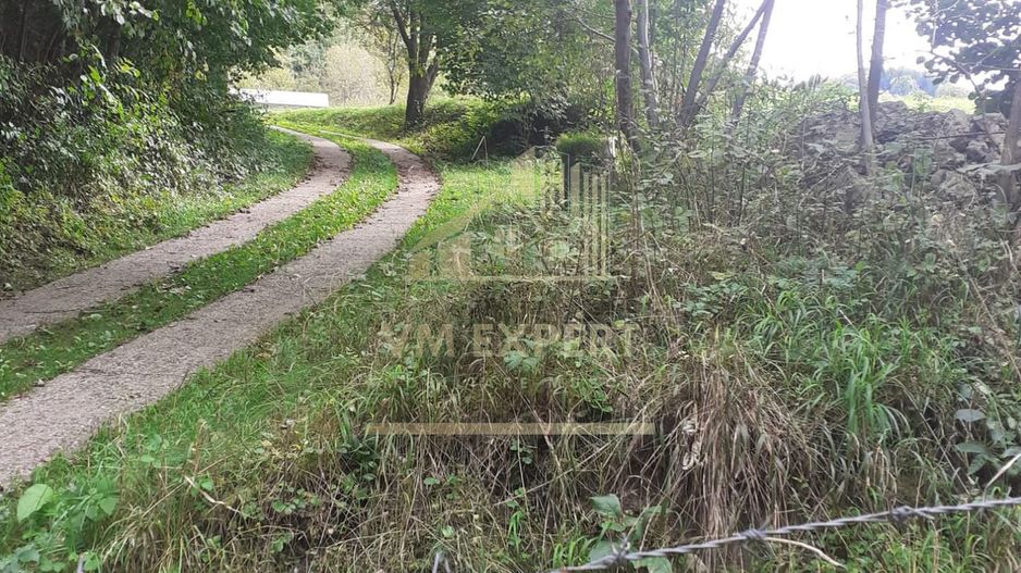 TEREN INTRAVILAN 3698 MP, CAMPULUNG, ARGES - Poză 2