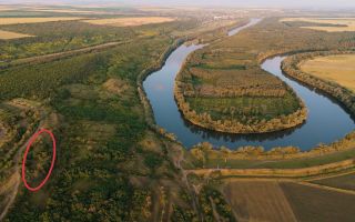Teren agricol intravilan, 90 ari pe malul Nistrului, Doroțcaia - Poză 3