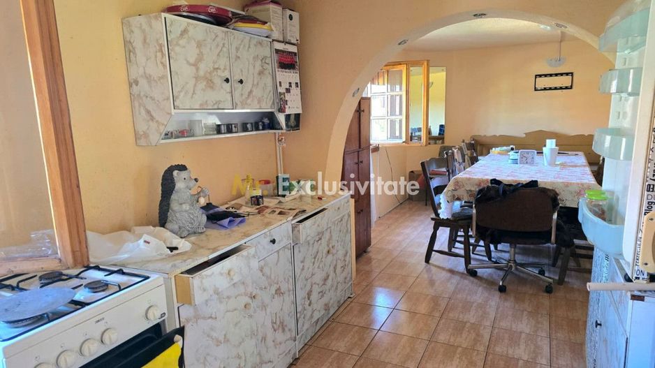 casa 3 camere Viile Satu Mare - Poză 9