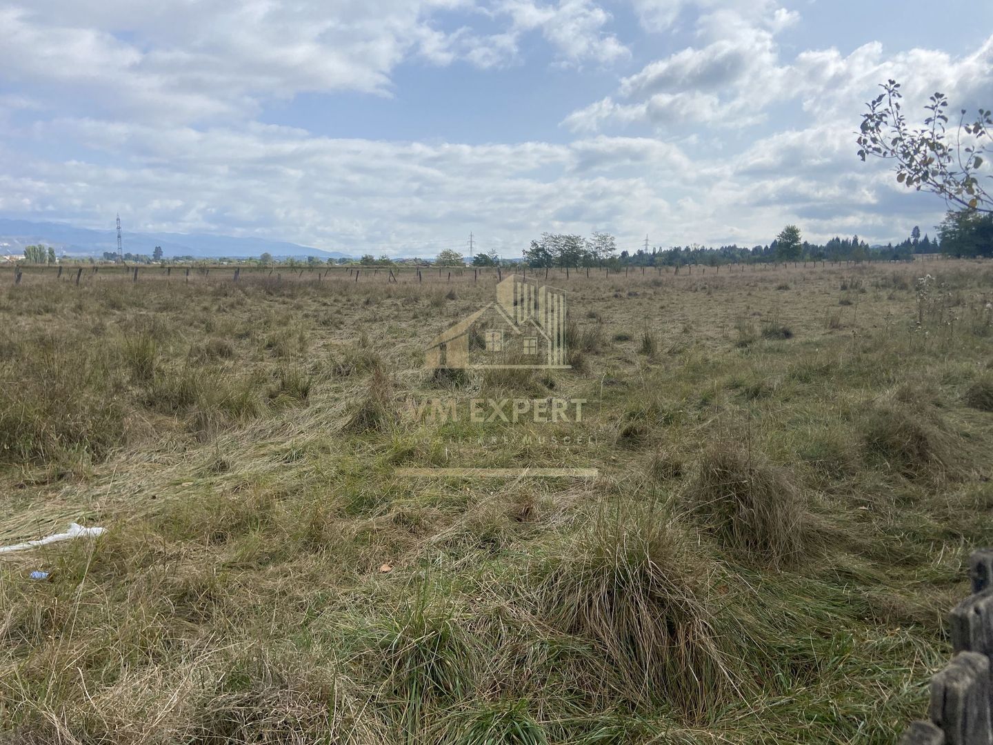 TEREN INTRAVILAN 5000 MP, GRUI, CAMPULUNG - Poză 7