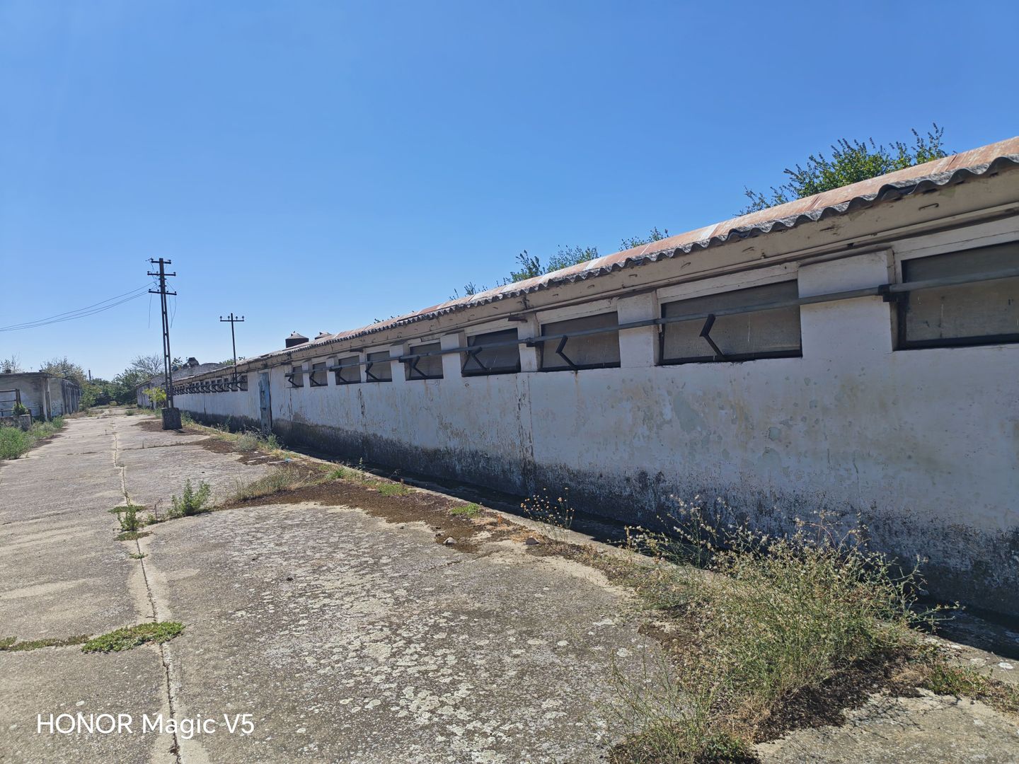 Spațiu industrial -fermă Orțișoara - Poză 7