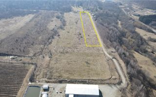 Teren extravilan 6.500 mp – Cârțișoara | Comision 0% - Poză 2