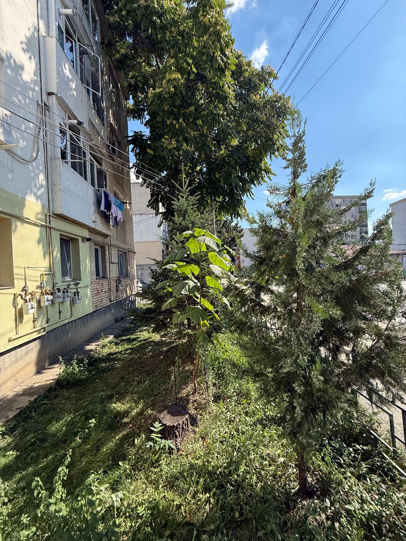 Garsonieră 27 mp cu balcon - etaj 2 - nemobilata -bloc an 1980 - Poză 24