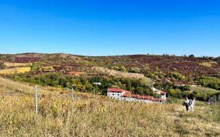 14Ha podgorie, livada pomi fructiferi, si conac 3000mp - Poză 10