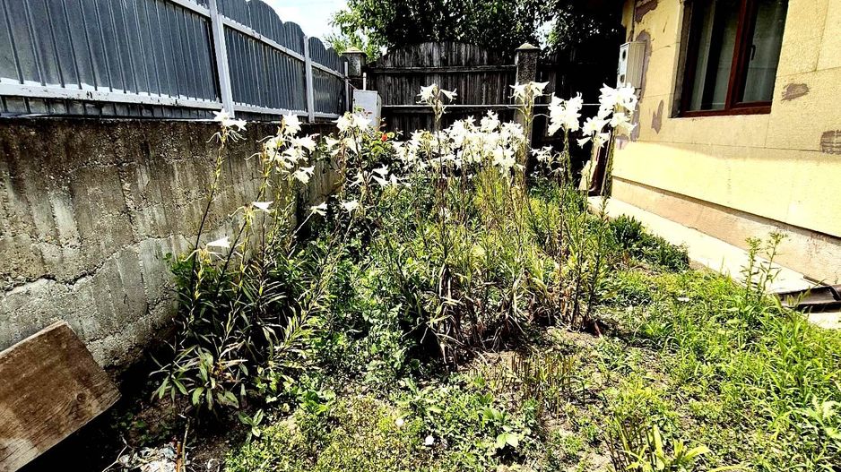 Casa batraneasca+anexa+garaj+961.07 mp teren intravilan Otopeni - Poză 25