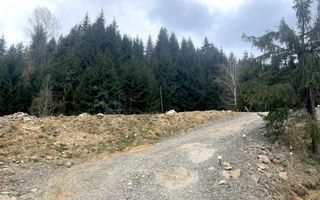 Teren intravilan 3039 mp-Parcelabil-ponton-Colibita Exclusiv - Poză 2