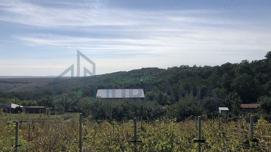 Casă de vânzare în Iepureni, Movileni, Iași - 160 mp, teren 900 mp - Poză 3