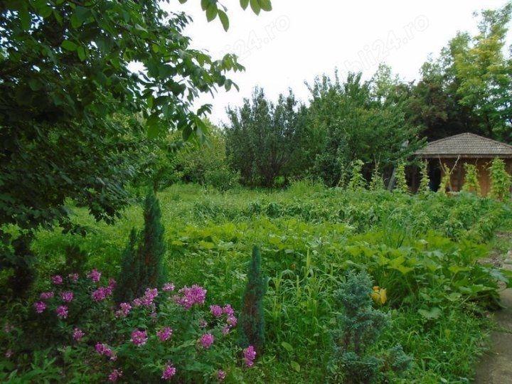 Casa de vanzare |Nuci, Balta Neagra, la 25 de minute de București - Poză 9