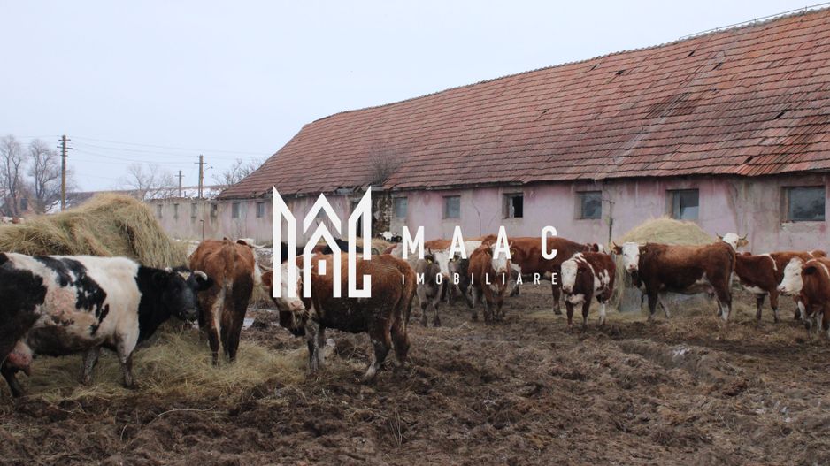 Ferma de Vânzare – Oportunitate Unică! - Poză 27
