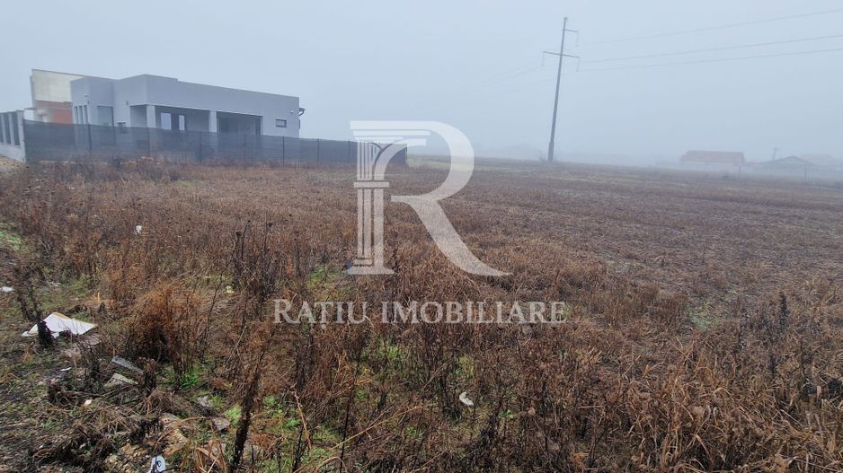 Teren intravilan | Santandrei | Bihor - Poză 4