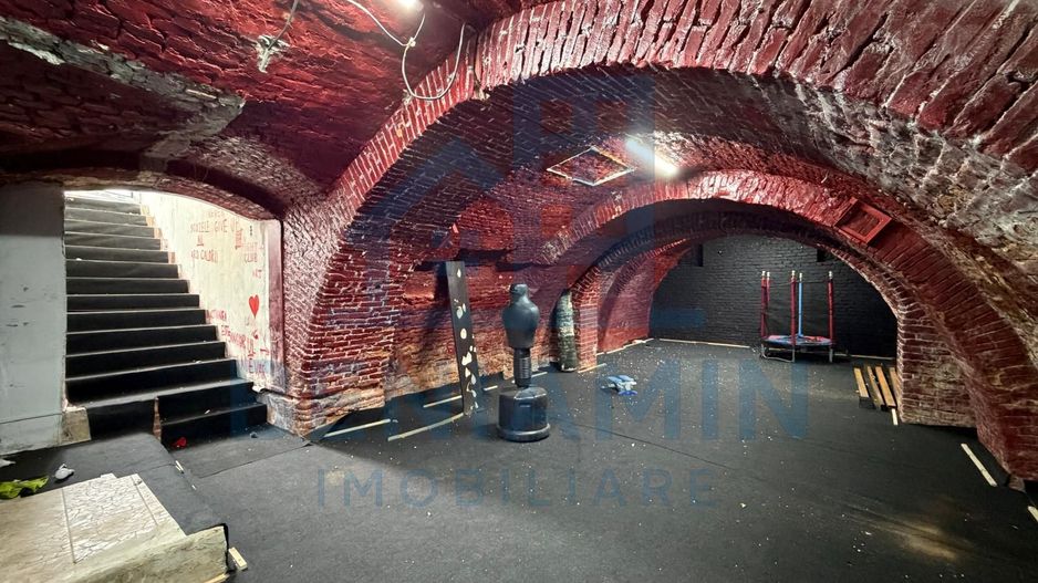 Spatiu generos D+P+1 - 414mp - pozitionare centrala - Green House - Poză 8