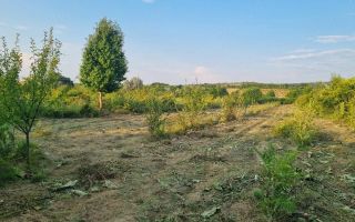 Teren intravilan de vânzare în Curături, comuna Ciurea, Iași - 4.000 mp - Poză 2
