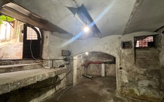Raritate Parc Carol | Vila neoromânească curte libera 165mp - Poză 11