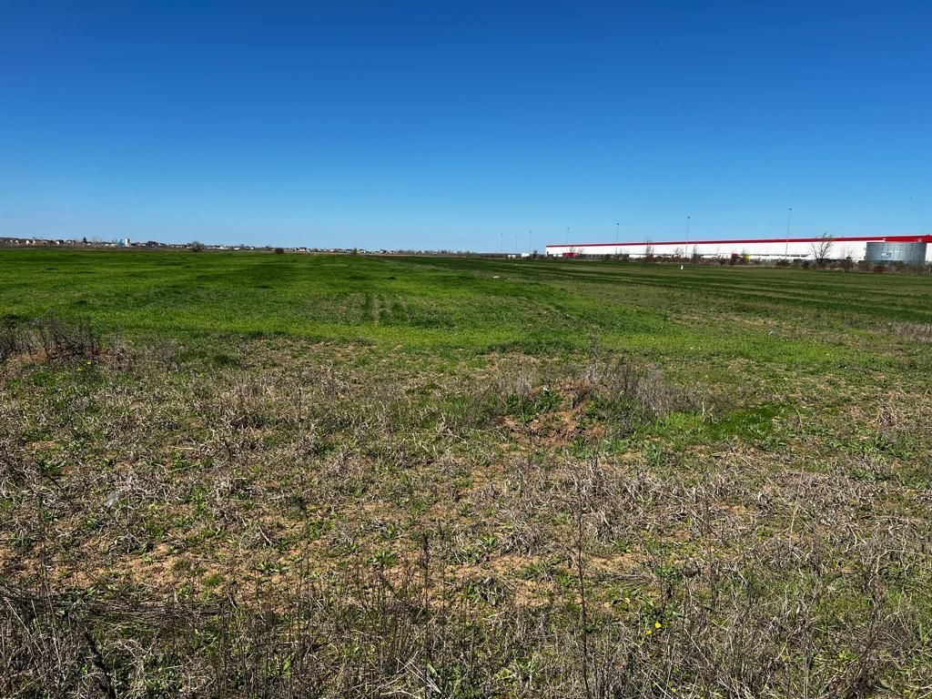 Investitie | Logistica | Productie | 23600 mp |  Centura Bucuresti | - Poză 5