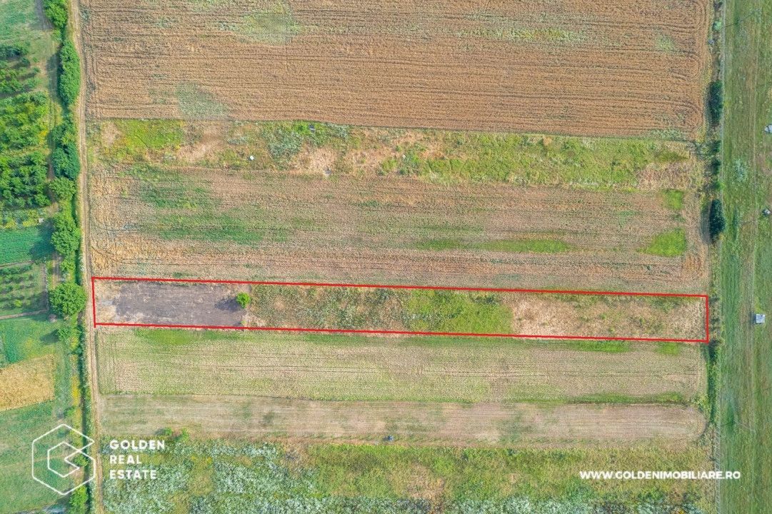 Teren intravilan 5000 mp, arabil in Sanleani - Poză 4