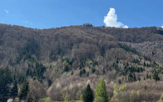 Terenuri Bran - Predelut  Priveliște către Bucegi și Postăvaru - Poză 12