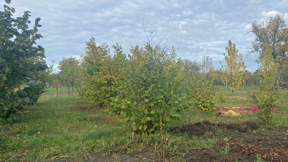 Vanzare casă cu teren generos în Săcueni, la 15 minute de Târgoviște - Poză 20