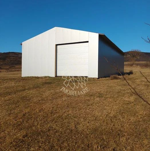 Teren 7500 mp + Hala metalica-ideal investitie-Brateni  EXCLUSIV - Poză 2
