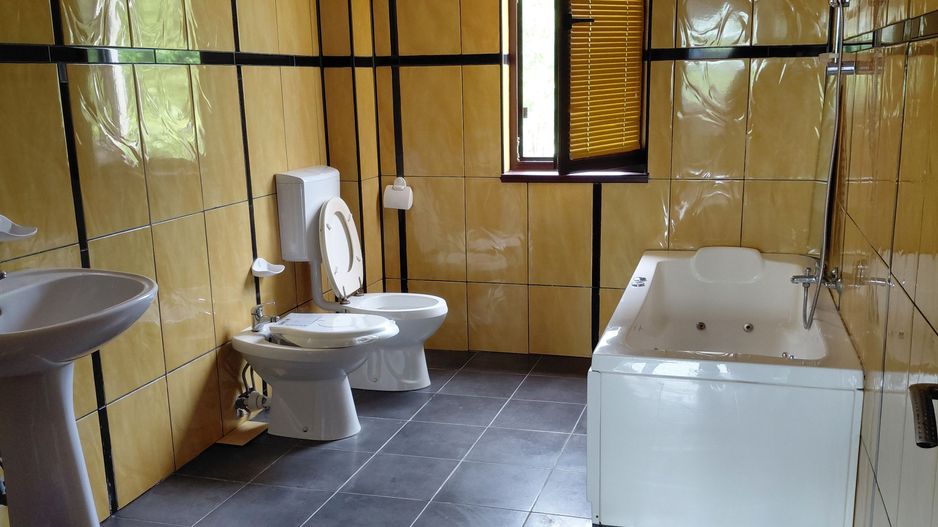 Casa P+1 zona Traian cu vedere la Brates - Poză 7