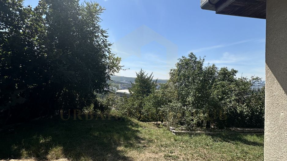 Vanzare teren 2387 mp, front 17,3 ml, Serpuitoare , Gruia - Poză 8